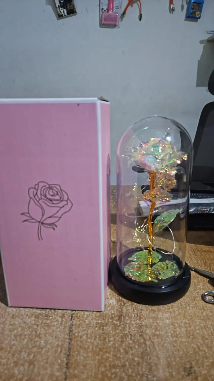Rose Light Up Flower w0q6nt-tn