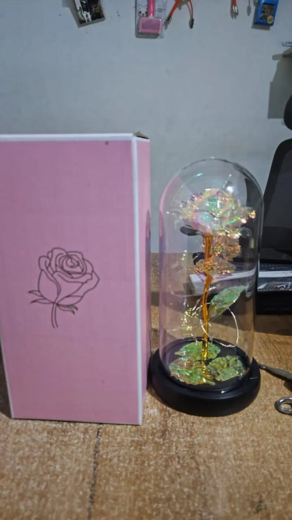 Rose Light Up Flower w0q6nt-tn